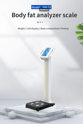 2023 Design Digital Body Fat Analyzer Machine zur Messung von Gewicht und Körperzusammensetzung