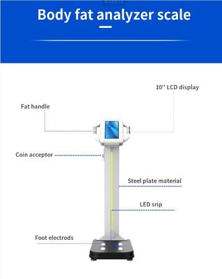 2023 Design Digital Body Fat Analyzer Machine zur Messung von Gewicht und Körperzusammensetzung