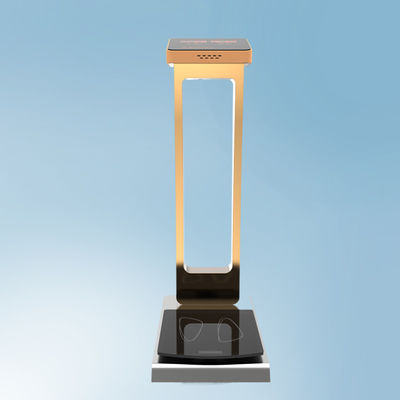Gepäckgewichte mit einer Kapazität von 300 kg mit individueller ODM-Unterstützung