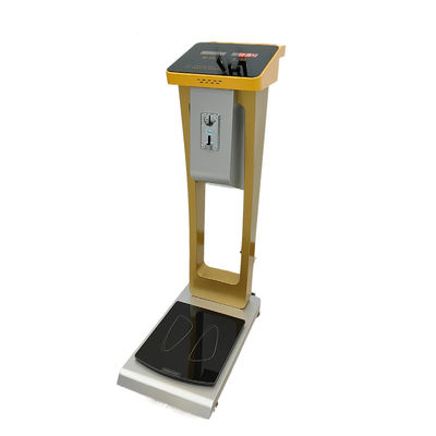 Hochgenaue Münz-Gymnastik-Gepäckwaage mit LED-Display und individuellem Logo 300kg