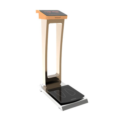 36*75*110cm Gesamtgröße Stehende medizinische Erwachsene Körpergewicht Skala mit 0,1kg Genauigkeit