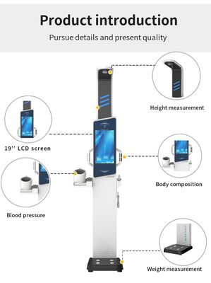 Erhalten Sie genaue Ergebnisse mit unserem mechanischen Design Digitale Skala Gesamtgröße 33*55*235cm