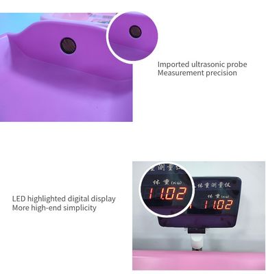 Professionelle elektronische Baby-Wagen-Skala LCD-Display 10 G Division Exklusivangebot