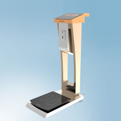 Gepäckwaage für das einfache Wiegen am Flughafen Hotels Gesamtgröße 33*55*100cm Gewicht 35kg