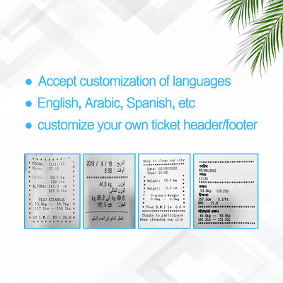 Digitale Apotheke Münze Größe und Gewicht Skala N.W 42kg Arabisch Englisch Russisch Spanisch Thai